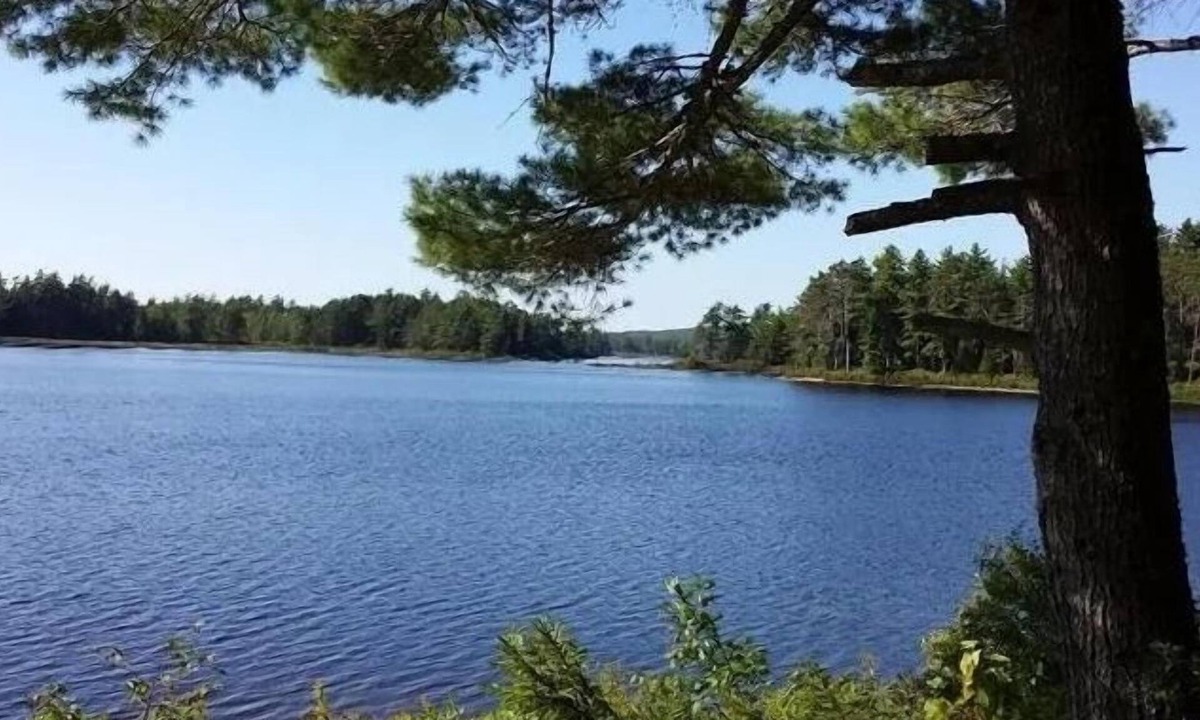 Washington County Cabin | 900 sq/ft off-grid cabin nestled on Upper Cranberry Lake. Pet Friendly!