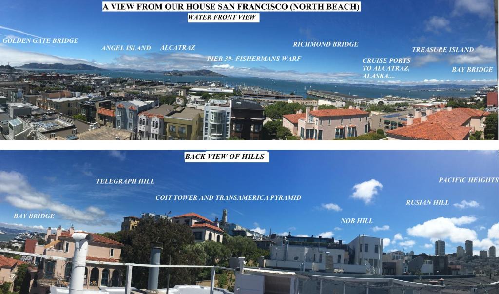 North Beach Apartment | Apartment with Amazing Views from Roofdeck - North Beach