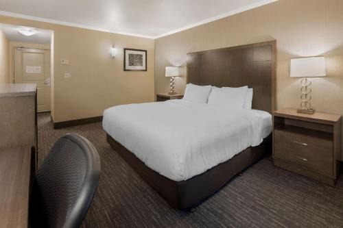 College Hotel | Best Western Plus Chena River Lodge