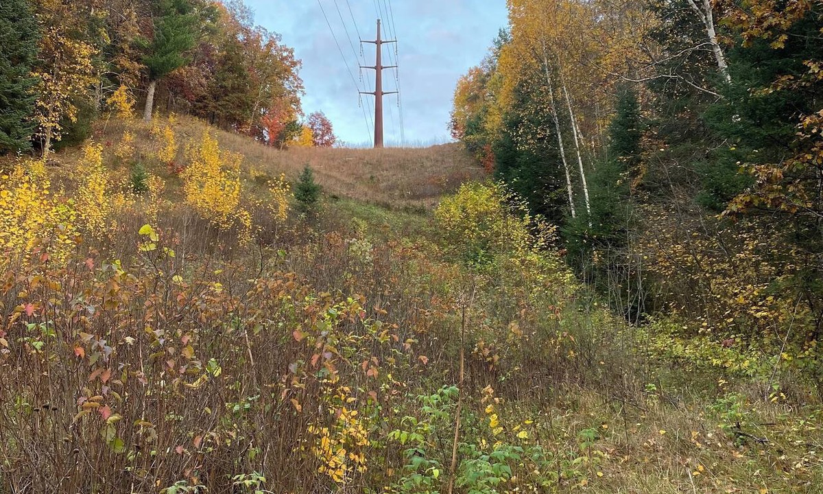 Crivitz Cabin | cabin centrally located near Crivitz WI