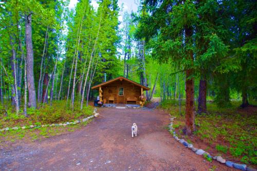 McKinley Park Cabin | Carlo Creek Cabins