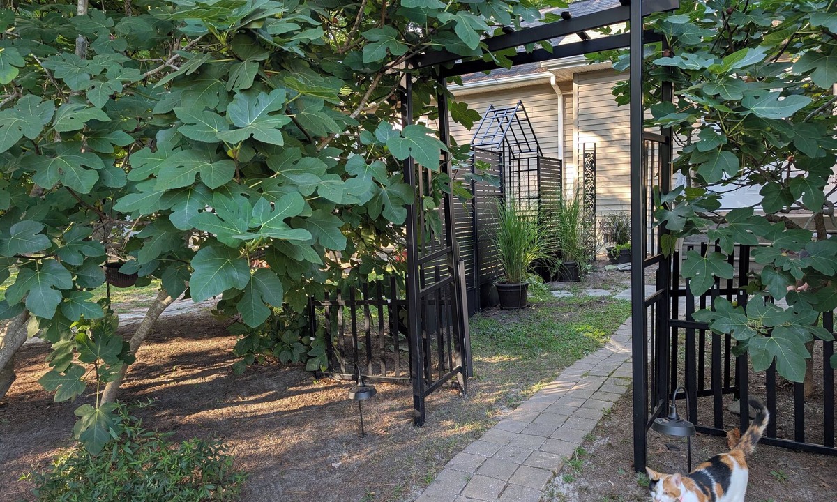 Millville Apartment | Cozy Coastal Charmer 10 Minutes to Bethany Beach