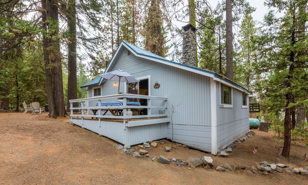 West Village Cabin | CUTE 2B/1B CABIN IN THE WEST VILLAGE ON MADRONE LANE