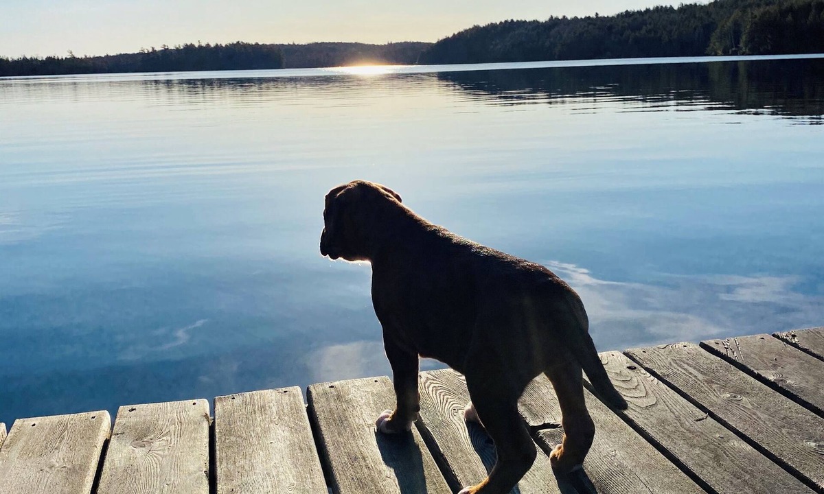 Baileyville House | Escape to Bear Cove: Your Cozy Lakeside Getaway on Meddybemps Lake! 🌲🏞️