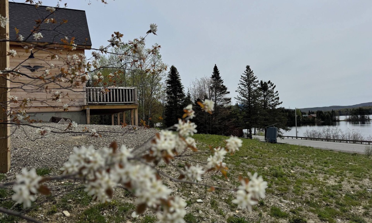 Pittsburg Cabin | First Lake Lodge! Trails, Fishing, Boating & Unforgettable 1st Conn Lake Views