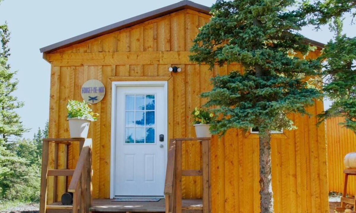 Healy Cabin | Forget Me Not Cabin -Arctic Dragonfly Inn