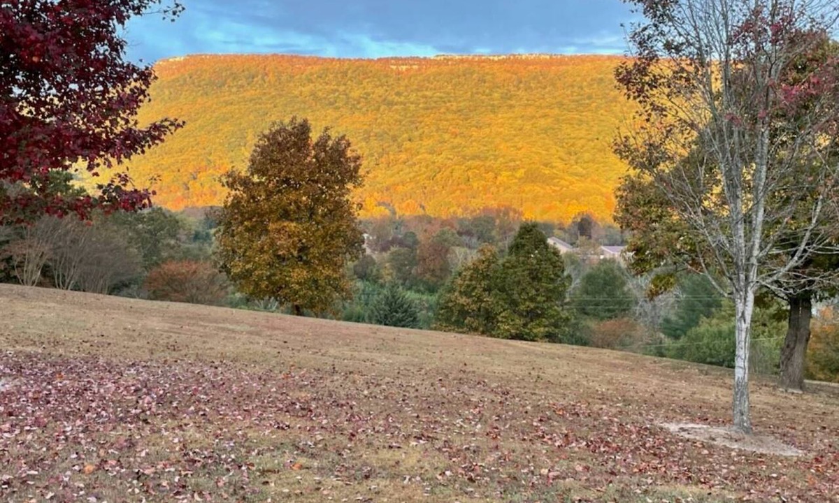 Chickamauga House | Free Ruby Falls Ticket & More -Large 4BR/3BA-3 acres- Cloudland Canyon, Chattanooga-Lookout Mountain