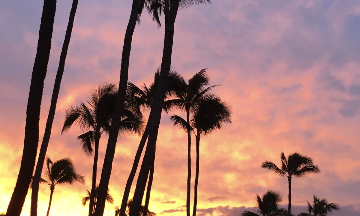 Maalaea Condo | Gorgeous Oceanfront Complex on Maui! Kanai A Nalu, with FREE parking!
