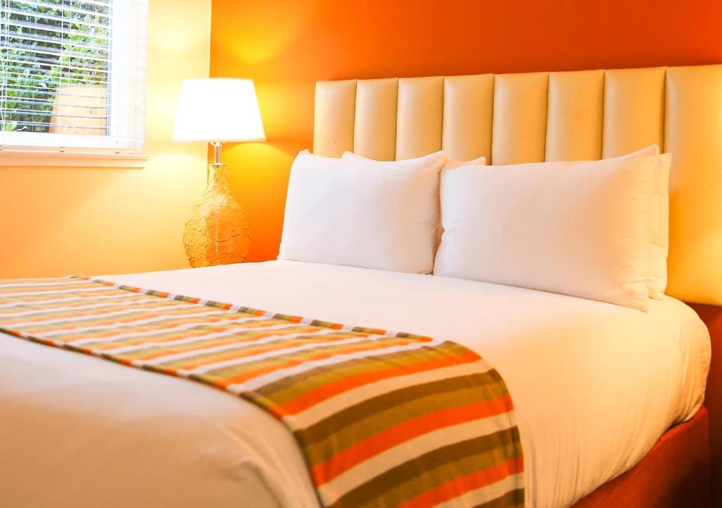 Cow Hollow Hotel | Hotel Del Sol