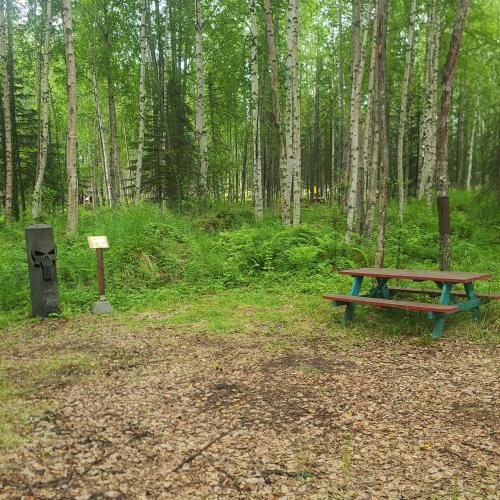 Houston Other | Houston Grass Station Campsite #13