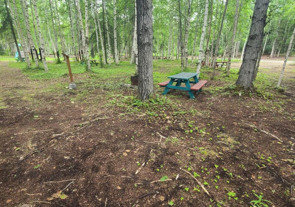 Houston Other | Houston Grass Station Campsite #40