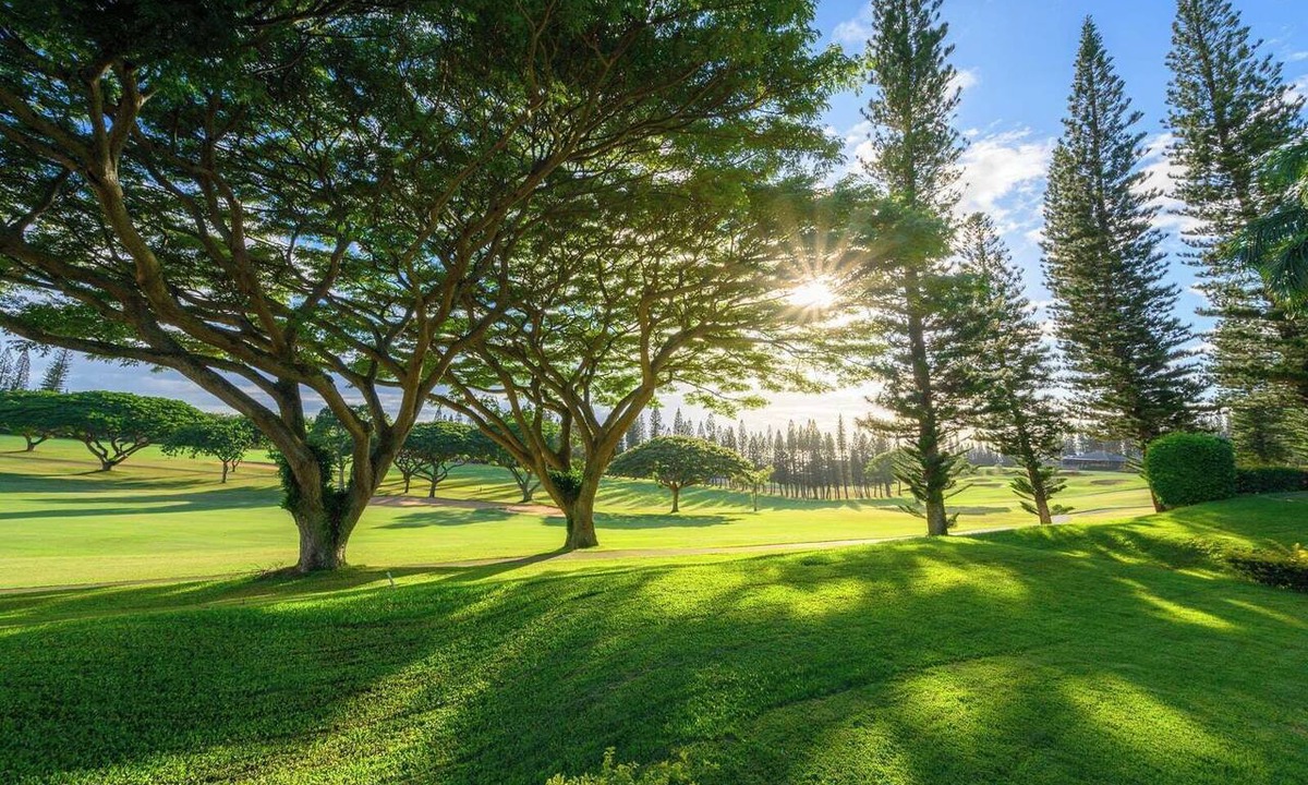 Kapalua Condo | Kapalua Golf Villas | Golf View 2 BR, Sleeps 6 | Car Incl. w/6+ Nights | KGV-14P6 by KBM