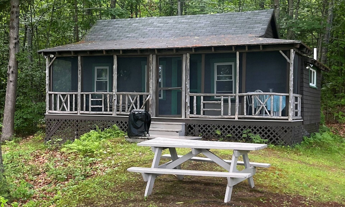 Industry Cabin | Metz Camp - Very private atop a knoll with view of beautiful Clearwater Lake.