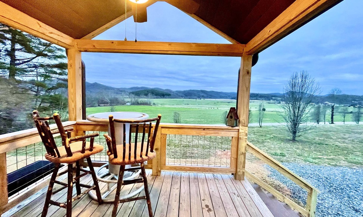 Brevard Cottage | Million Dollar View with Cedar Sauna, Hot Tub and Cold Plunge Tub