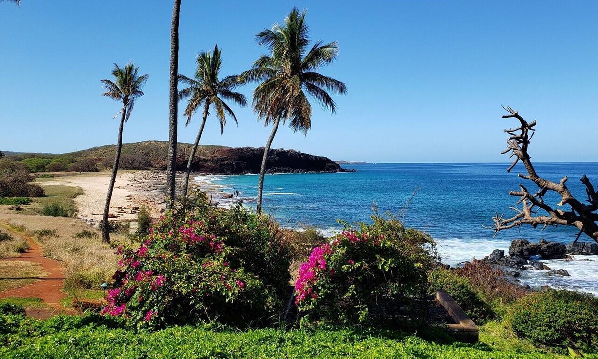 Maunaloa Condo | Molokai Lei Over