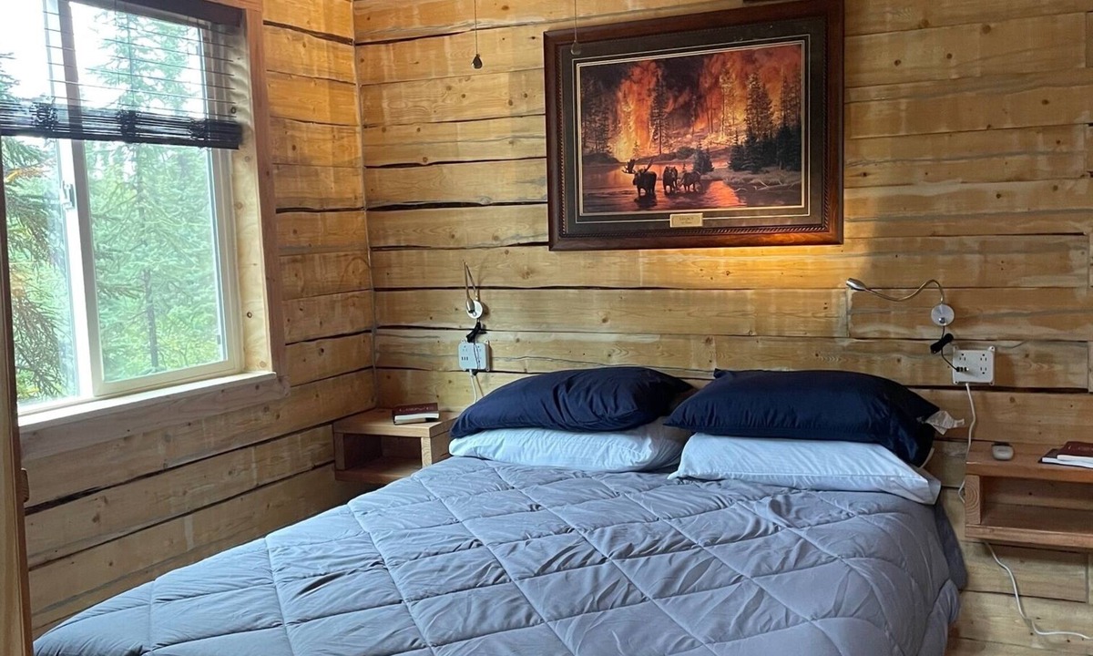 Healy Cabin | Moose Log Cabin Sleeps 6 near Denali National Park