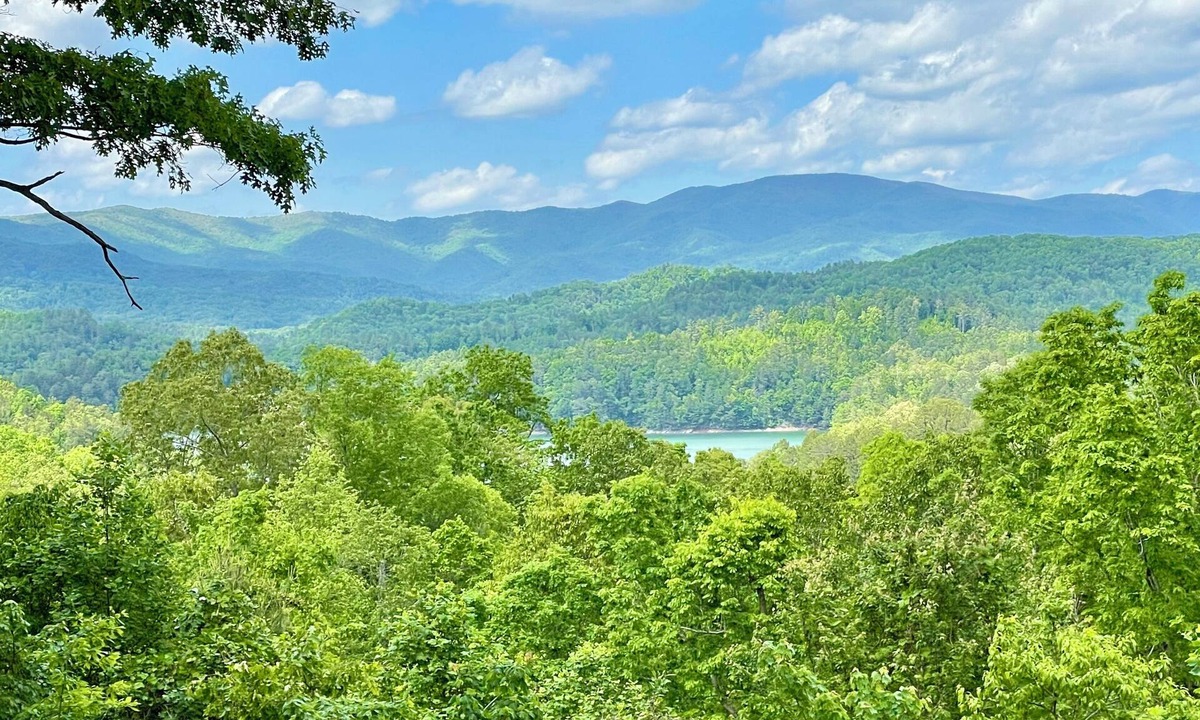 Unaka House | Mountain & Lake views. Fall Festivals, Hike, Wine, Boat in Bear Paw. New Home.