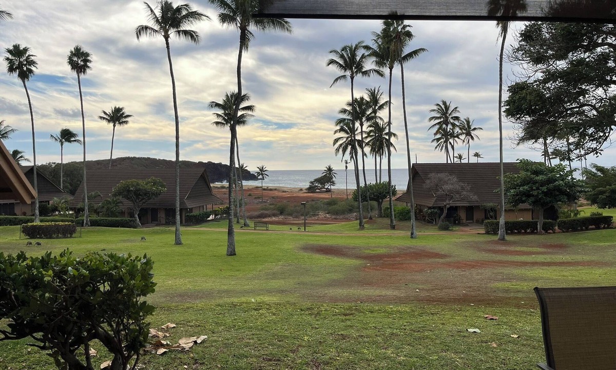 Maunaloa Condo | Perfect 1-bedroom condo on Molokai's West End for your getaway