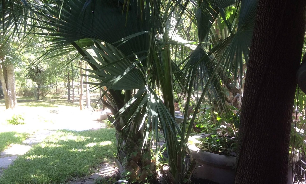 Raintree Apartment | Perfect for work or fun! 1 NIGHT RENTAL AVAILABLE!