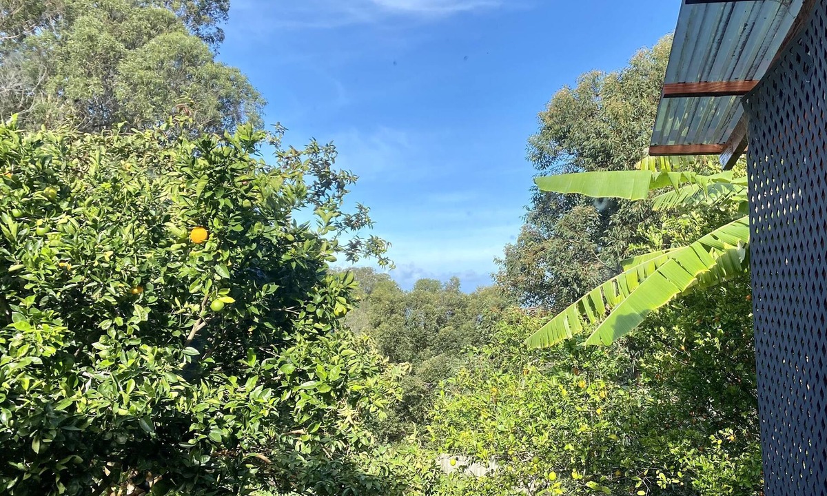 Makawao Cottage | Quiet 1-bd cottage retreat with sleeping loft & work space