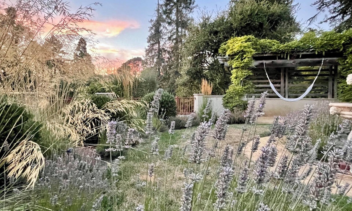 Upper Rockridge Apartment | Quiet, Elegant Apartment With Beautiful Views of Terraced Garden