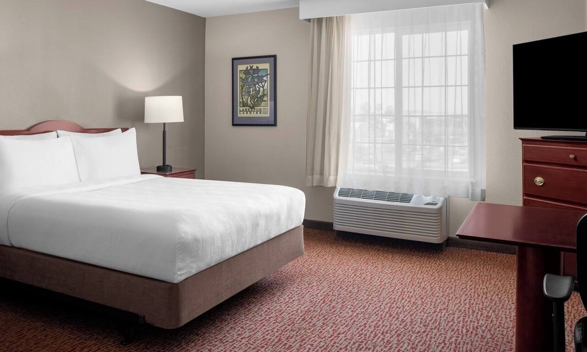 Pleasanton Hotel | Relaxing Room in Bay Area | Hotel with Outdoor Patio & Free Parking