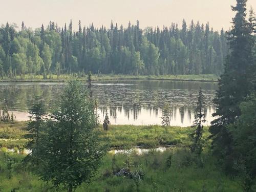 Kalifornsky Apartment | Scout Lake Adventures - LAKE FRONT fishing avail