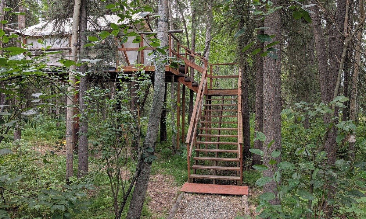 College Cabin | Sleep in the trees! A treehouse escape just 5 minutes from airport and downtown!