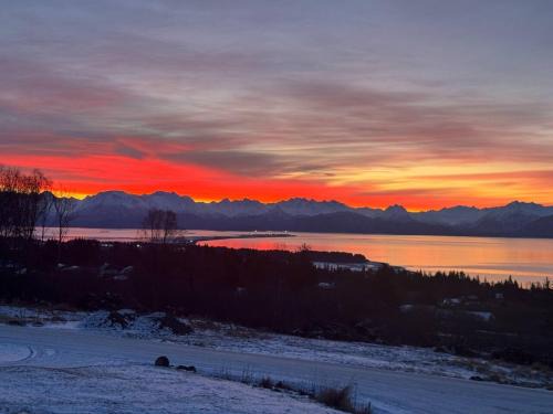 Homer House | Sunrise Sunset Bayview Home