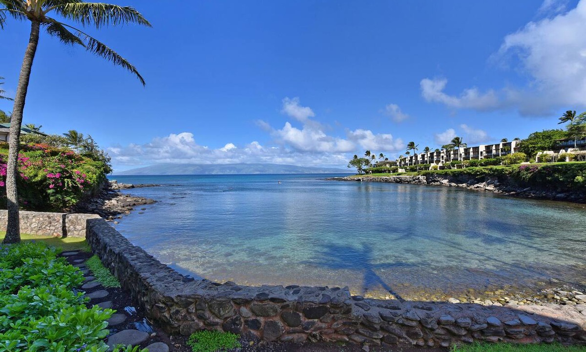 Napili Condo | Swim with the turtles! Oceanfront condo #102