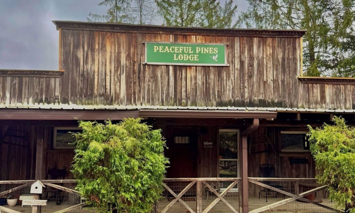 Old Washington Cabin | Timberline Cabins - Peaceful Pines Lodge, WiFi, Pets, Stalls, Hot Tub