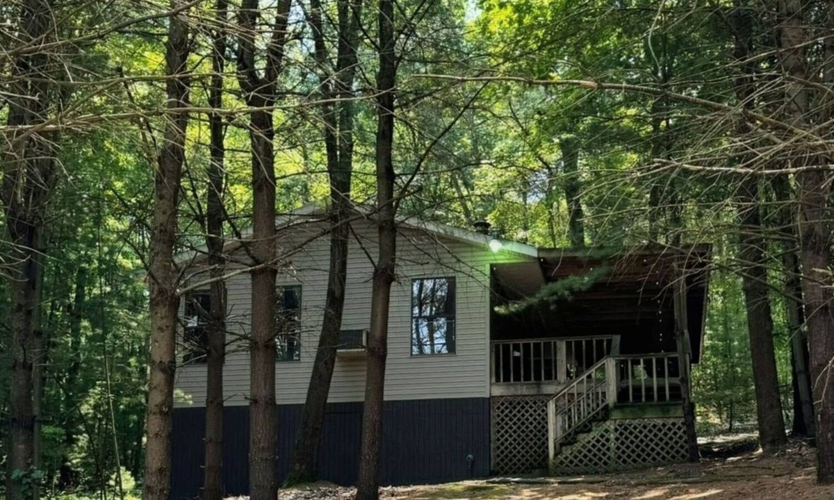 Old Washington Cottage | Timberline Cabins - Wildwood Cottage - Hot tub, Pets, WiFi