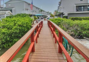 Seashell 12 in Clearwater Beach