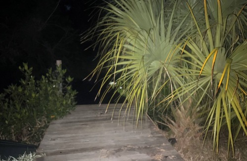 Fort Myers House | 3-bedroom riverfront house next to historic downtown Fort Myers