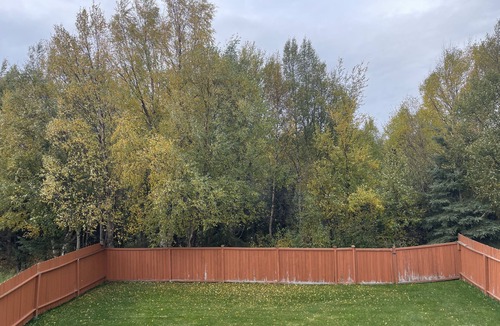 Bayshore - Klatt House | A cozy 4 bedroom with 2.5 Bath in S. Anchorage with walking and jogging trail.
