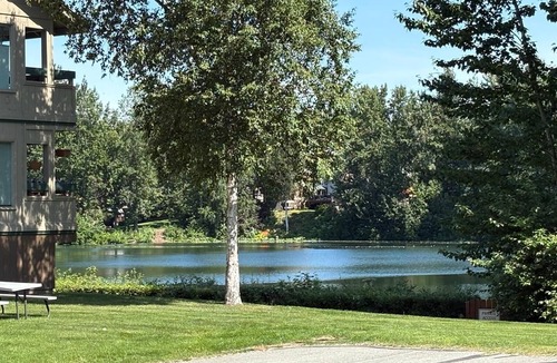 University Area Condo | A cozy and tranquil home base nestled in the UMED Reflection Lake neighborhood.