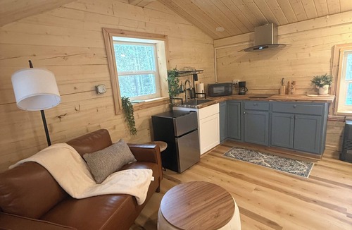 Fairbanks Cabin | Adorable Tiny Cabin with water and WiFi