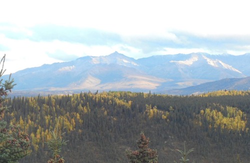 Healy Cabin | Alaska secluded Cabin, just 15 Highway miles from Denali National Park Entrance.
