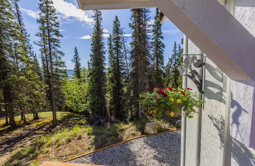 Healy Cabin | Alpenglow Ridge Fireweed, near Denali