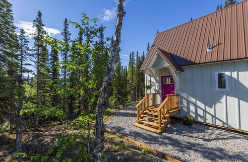 Healy Cabin | Alpenglow Ridge Fireweed, near Denali