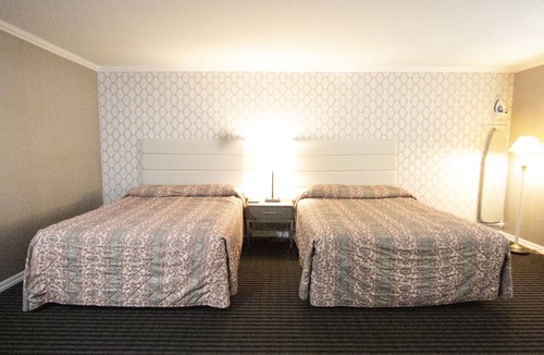 Cow Hollow Hotel | Alpha Inn & Suites