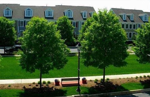 Ocean View House | Bear Trap Dunes * 4BR Luxury Resort home