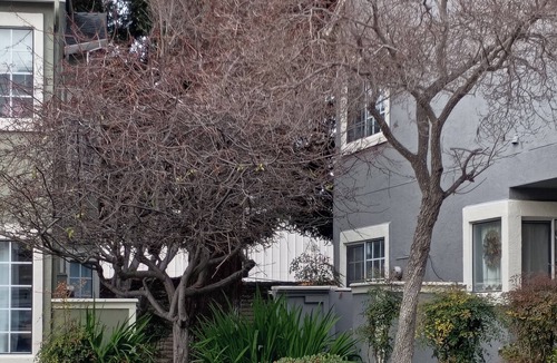 Santa Clara House | Beautiful Gated 2-bedroom 1 bath Condo with fireplace in fabulous Hayward.