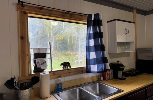 Fairbanks Cabin | Birchwood Hideaway, Dry Cabin