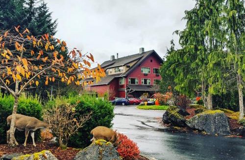 Ketchikan Hotel | Cape Fox Lodge