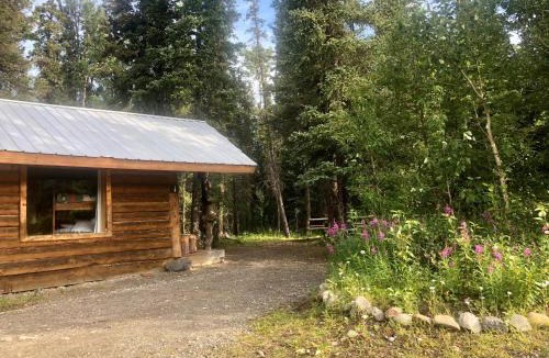 McKinley Park Cabin | Carlo Creek Cabins