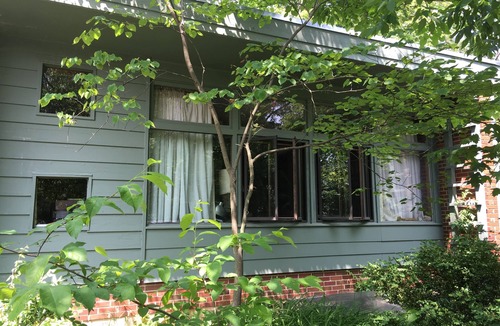 Yellow Springs House | Central and Shady 1-bedroom house in Yellow Springs with WiFi and AC