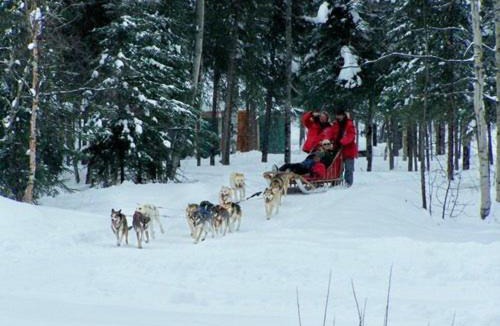 Fairbanks North Star Borough Hotel | Chena Hot Springs Resort