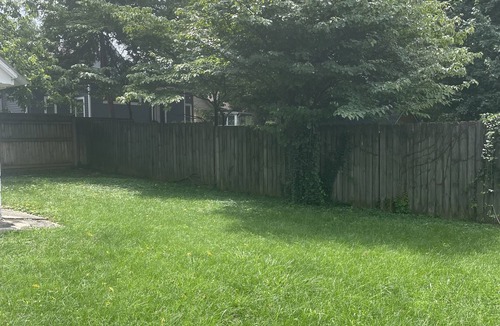 Oldham Avenue House | Chic Chevy Chase Bungalow, Heart of UK, Easy Trip to Downtown!
