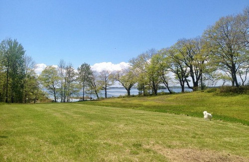 Harpswell Center Cottage | Classic oceanfront cottage and cabin on stunning 8 acres with sunset water views